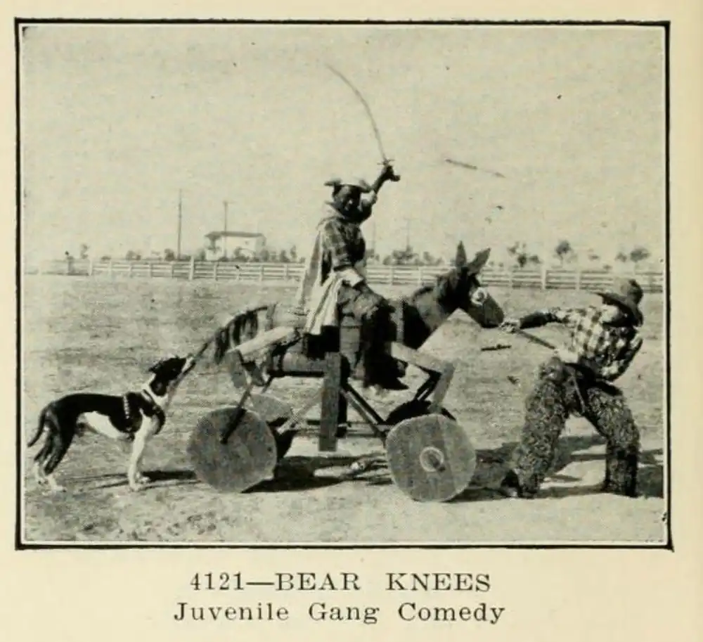 Bear Knees photo