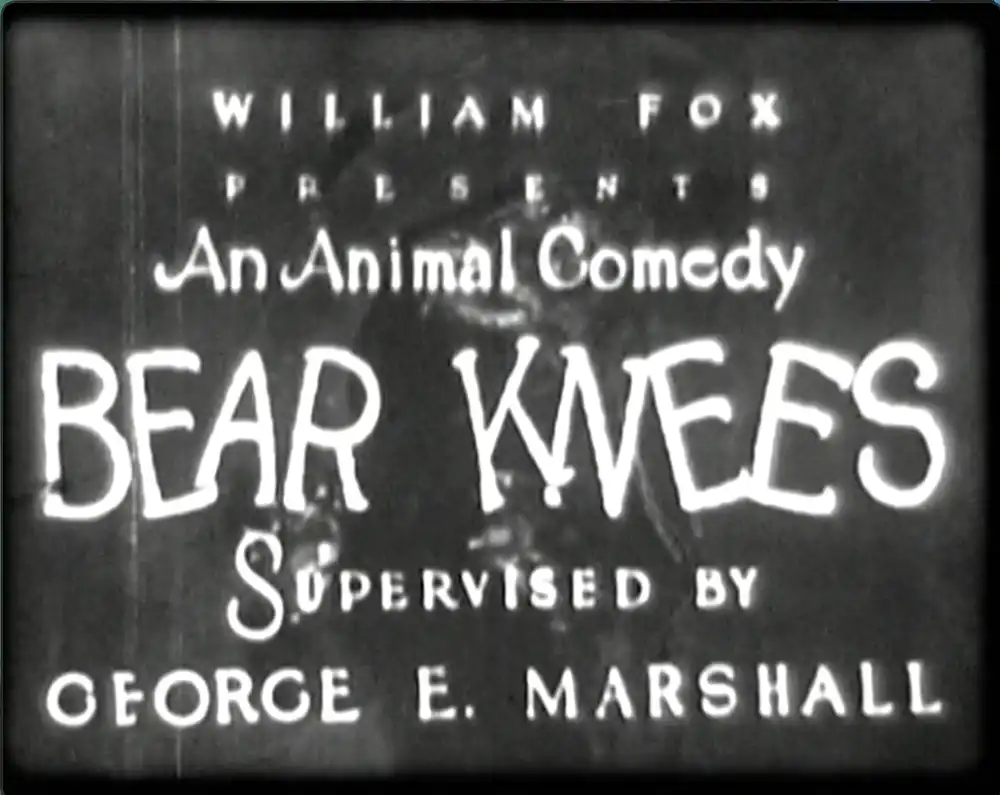 Bear Knees