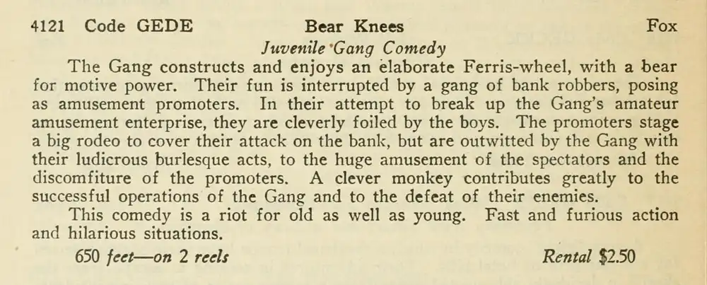 Bear Knees
