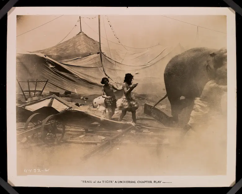 The Trail of the Tiger photo