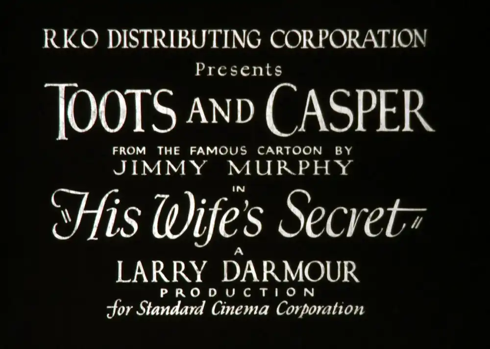 His Wife's Secret