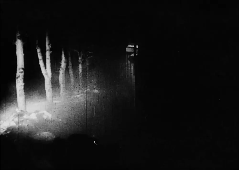 Kashtanka scene