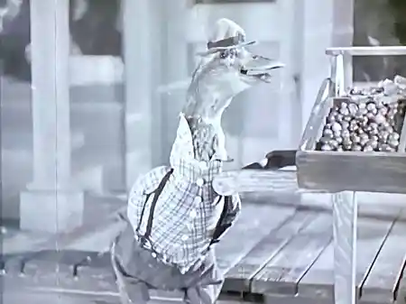 A Fowl Affair photo