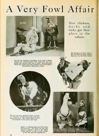 A Fowl Affair photo