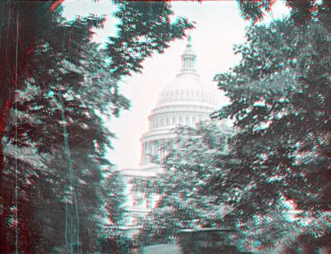 Thru' the Trees - Washington, D.C. photo