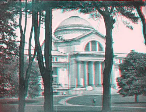 Thru' the Trees - Washington, D.C. scene