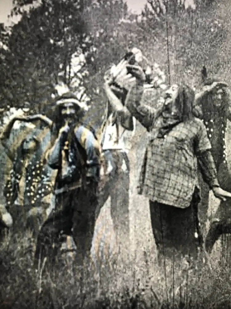 Wild scene