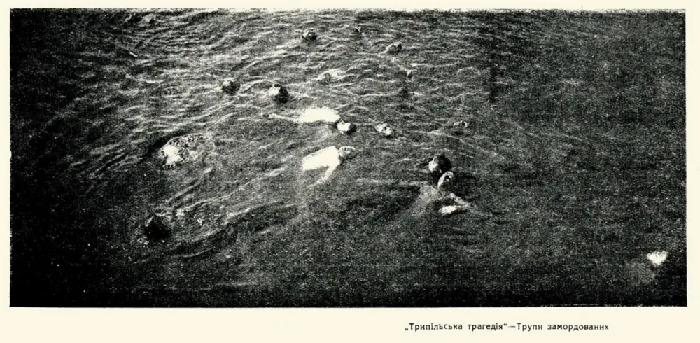 The Trypillia Tragedy photo