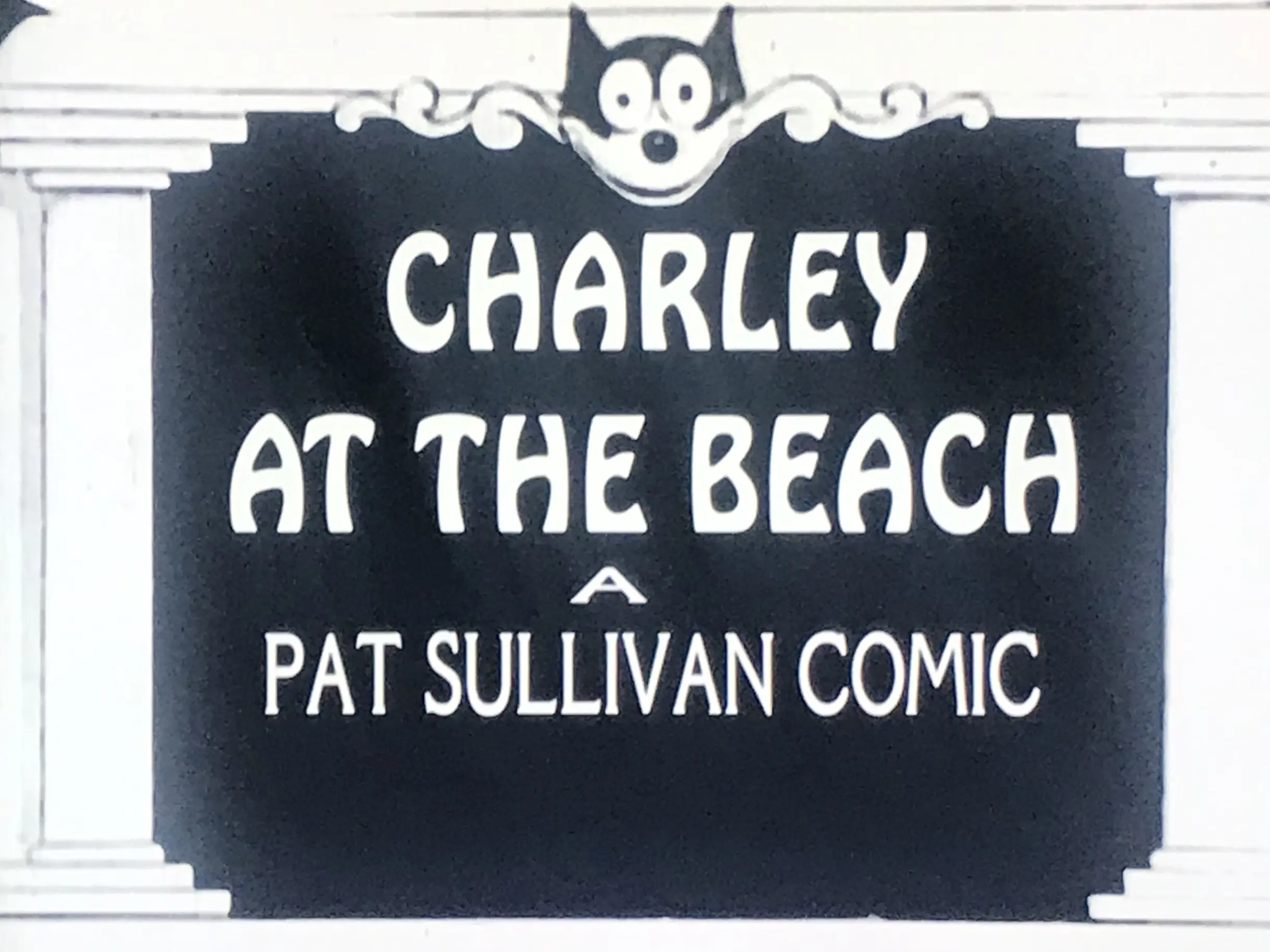 Charley at the Beach photo