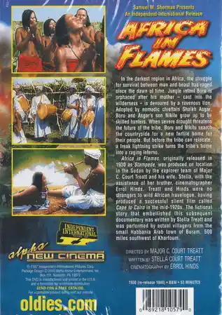 Stampede