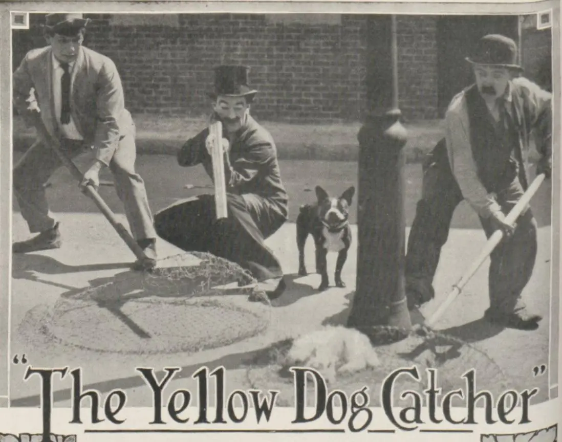 The Yellow Dog Catcher scene
