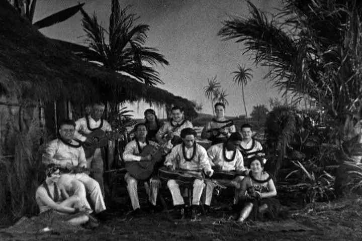 Hawaiian Nights