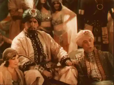 The Sultan's Jester
