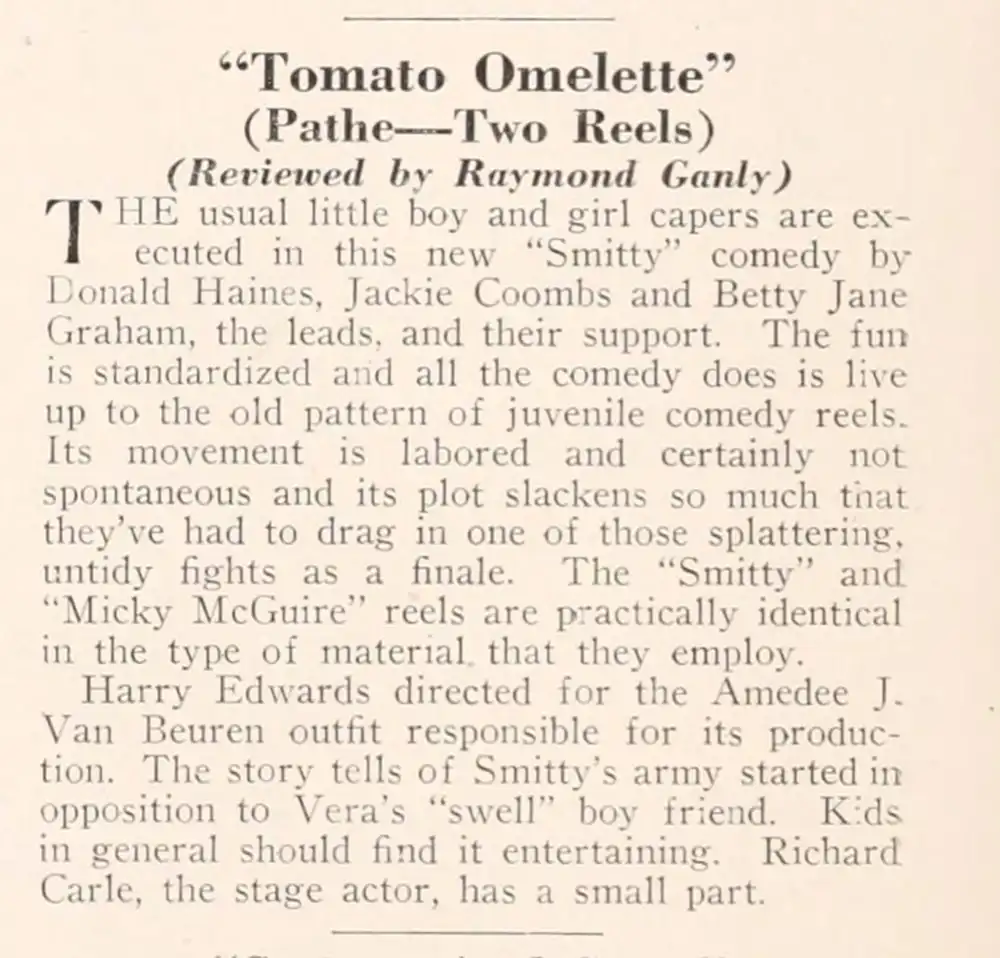 Tomato Omelette photo