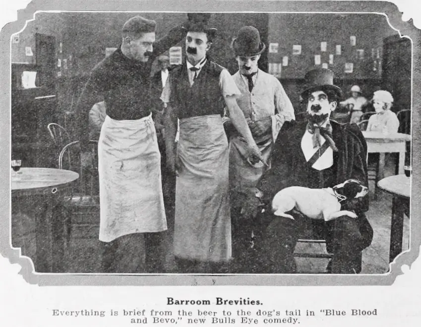 Blue Blood and Bevo photo