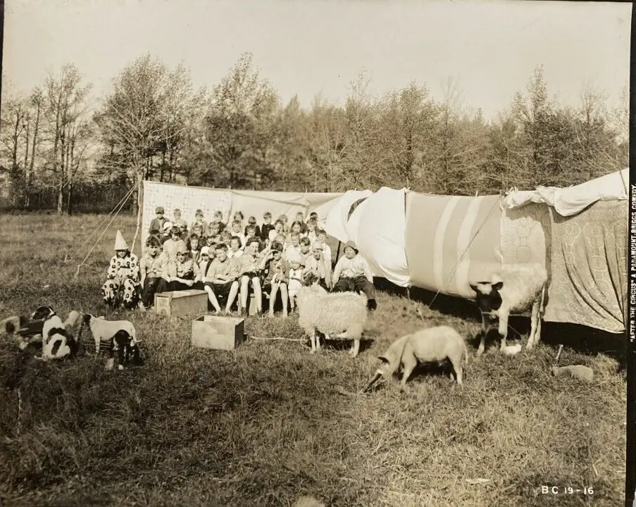After the Circus photo