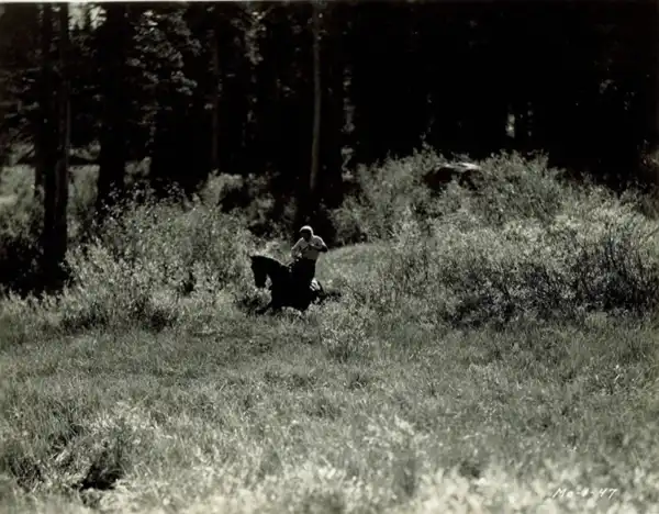 Born to Fight scene