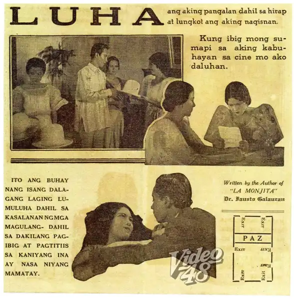 Luha