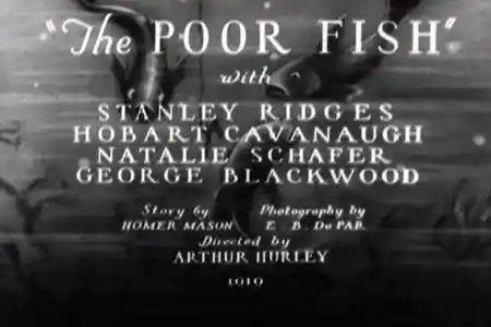The Poor Fish scene