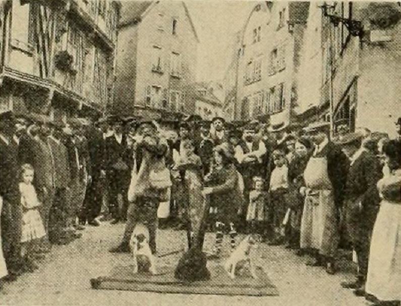 The Waif photo