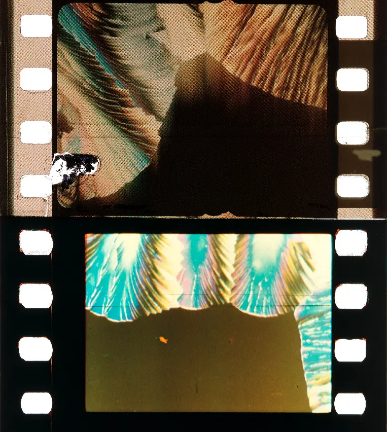 From the Realm of the Crystals photo