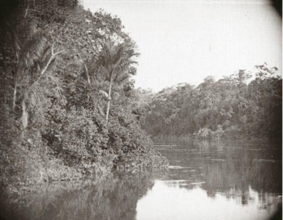 Amazonas, Maior Rio do Mundo scene