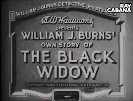 The Black Widow photo