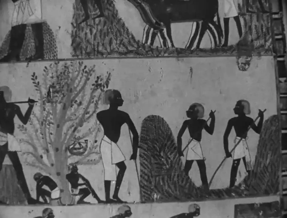 Daily Life in Egypt: Ancient and Modern scene
