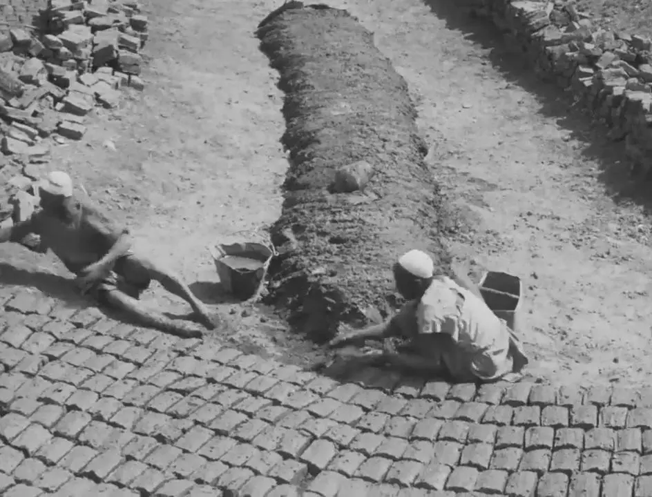 Daily Life in Egypt: Ancient and Modern scene