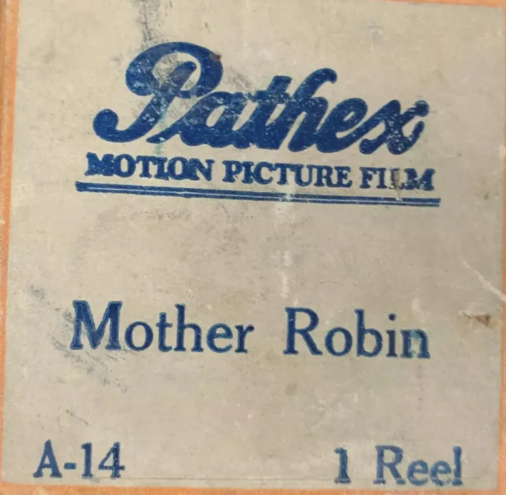 Mother Robin