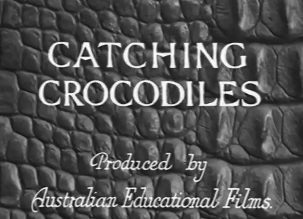 Catching Crocodiles photo