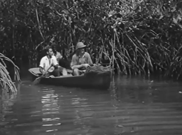 Catching Crocodiles photo