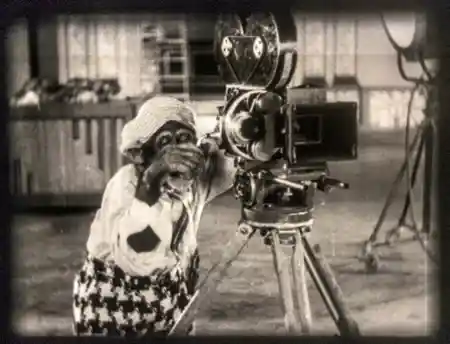 Apeing Hollywood photo