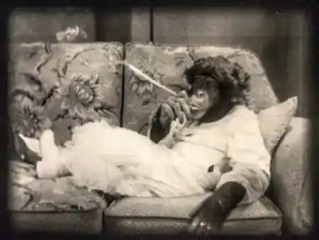 Apeing Hollywood photo