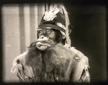 Apeing Hollywood scene