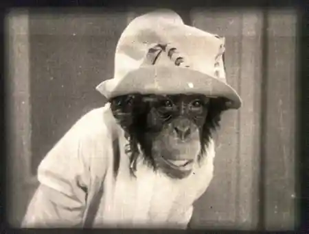 Apeing Hollywood scene