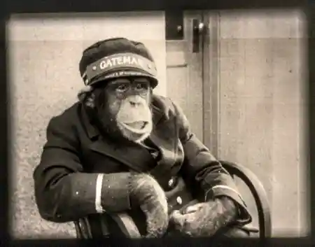 Apeing Hollywood photo