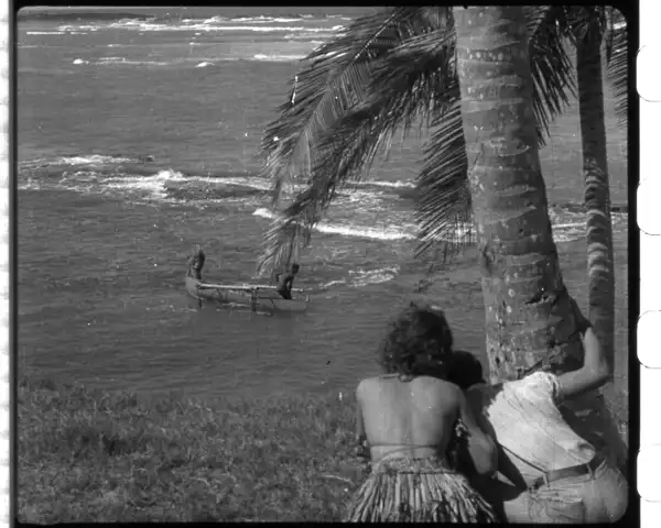 Romance Tropical photo