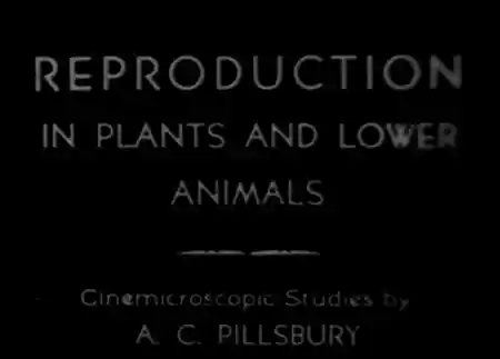 Reproduction in Plants and Lower Animals scene