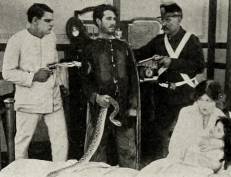The Rattlesnake