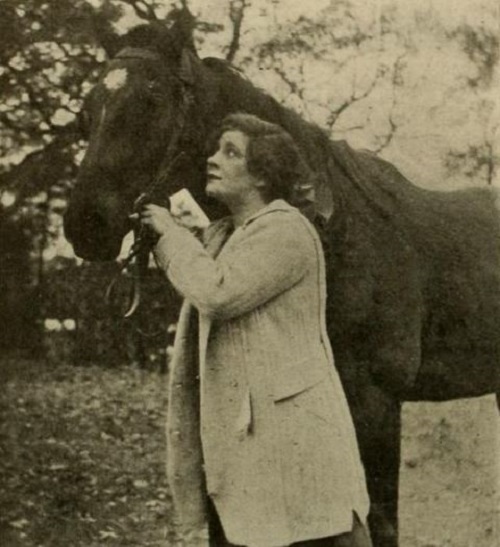 The Trail of the Lonesome Pine