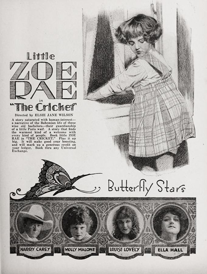The Cricket