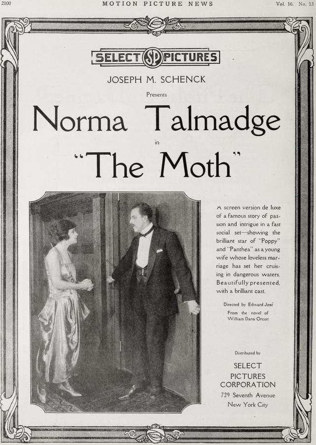 The Moth