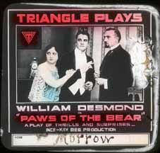 Paws of the Bear