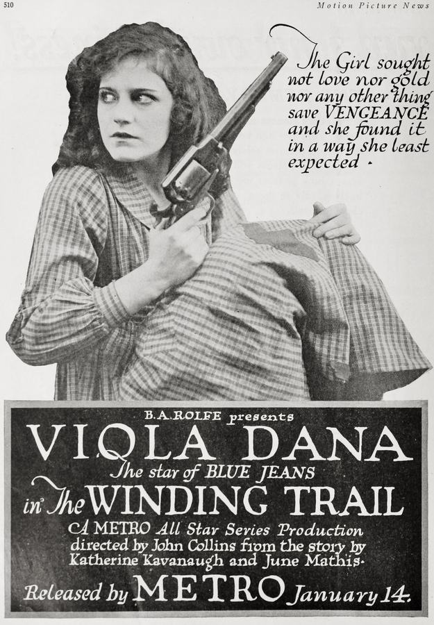 The Winding Trail