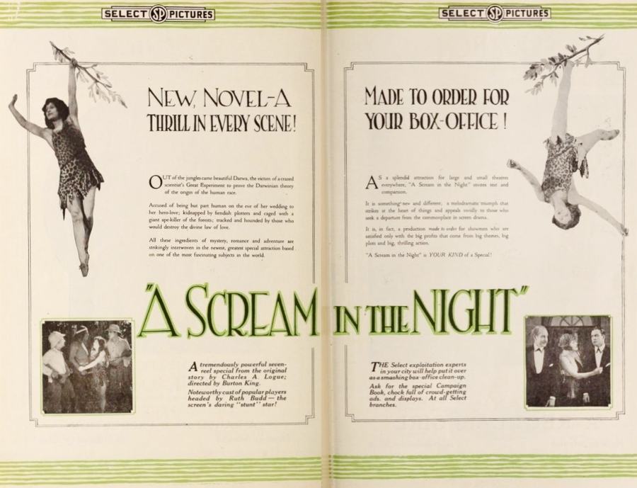A Scream in the Night