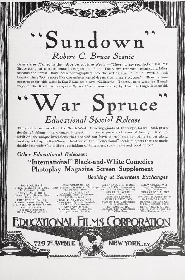 War Spruce
