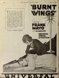 Burnt Wings