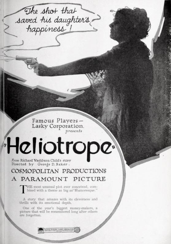 Heliotrope