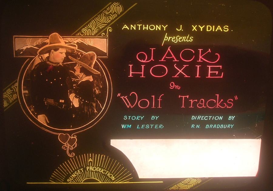 Wolf Tracks